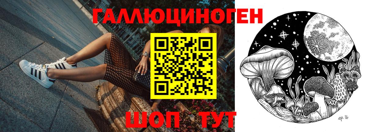 Галлюциногенные грибы Psilocybe  Псилоцибиновые грибы Magic Shrooms  Димитровград  цены   Вход с VPN 