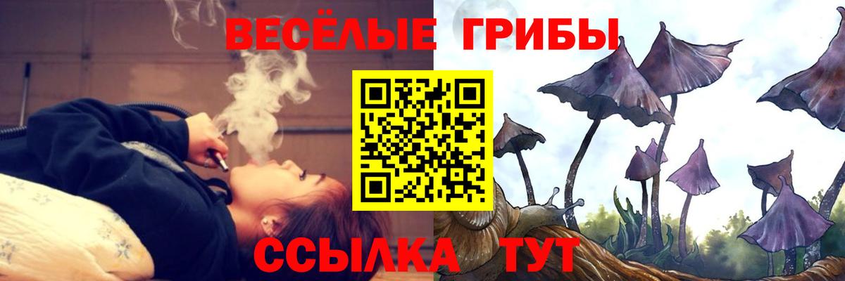 Галлюциногенные грибы прущие грибы Димитровград
